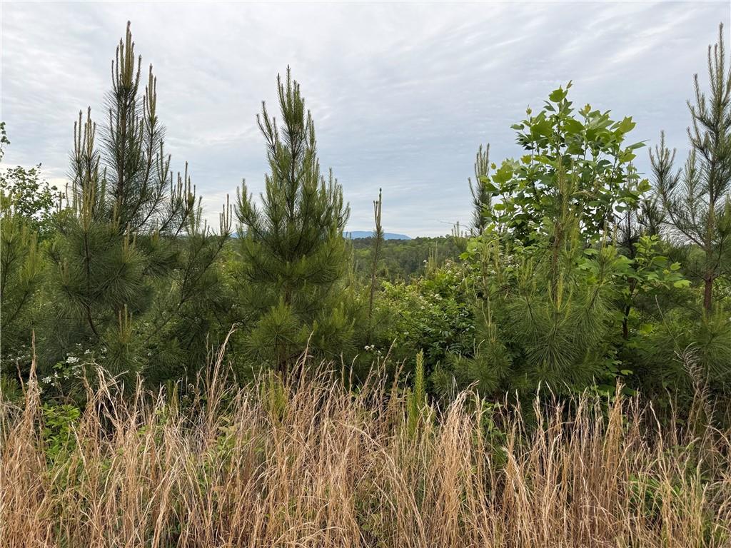 00 High River Crossing Property Photo 3