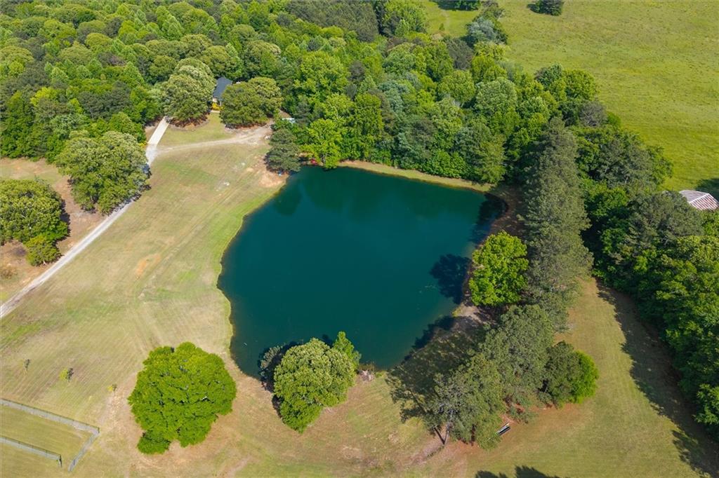 7763714 Property Photo 42