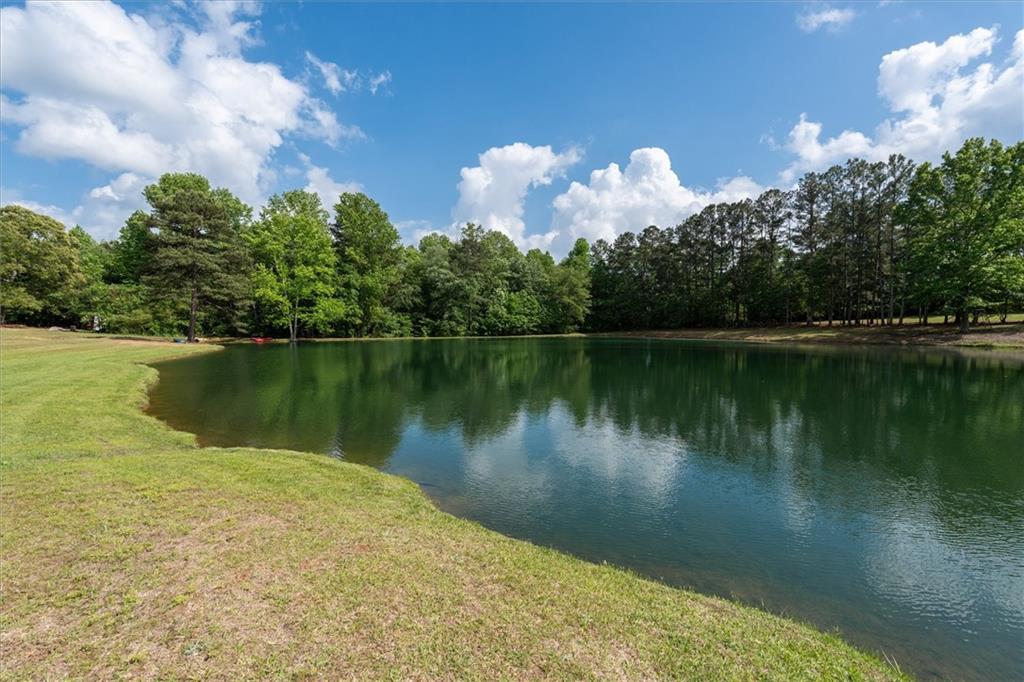 7763714 Property Photo 48
