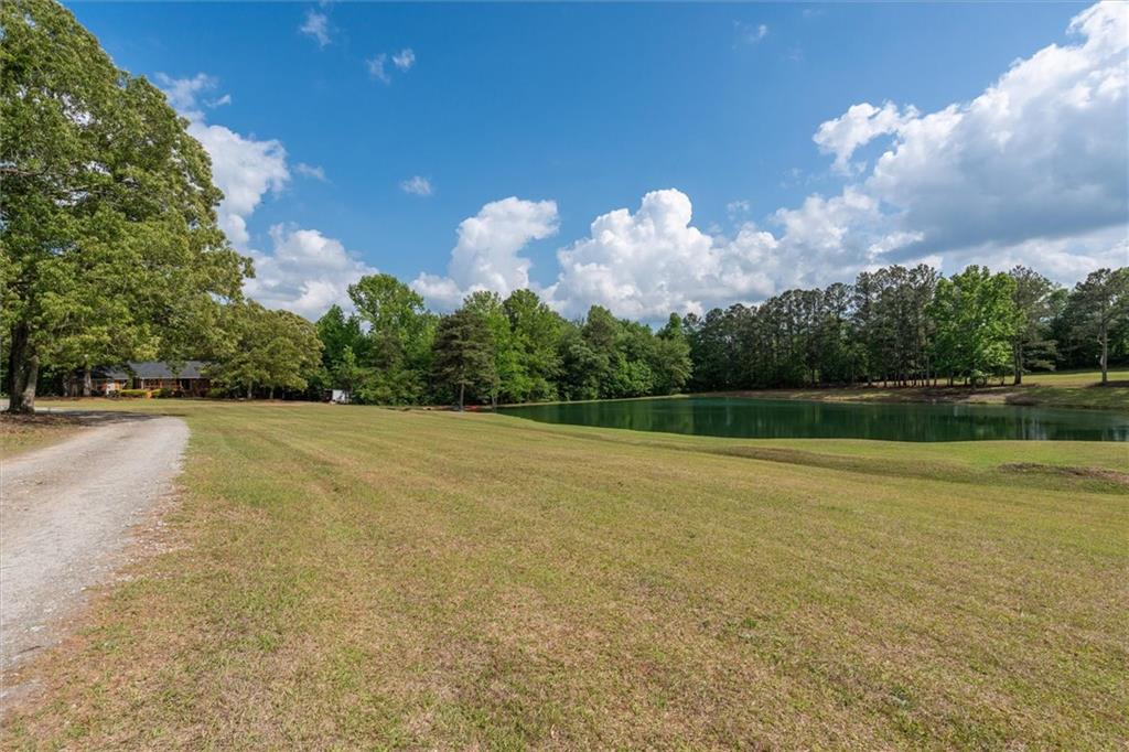 7763714 Property Photo 49