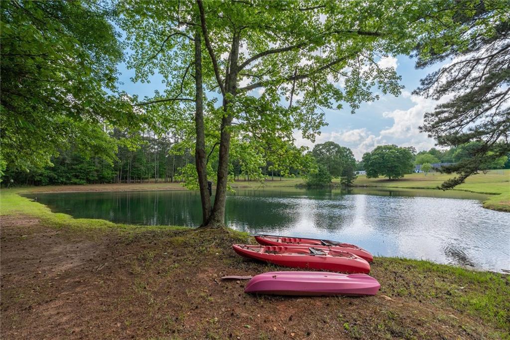 7763714 Property Photo 51
