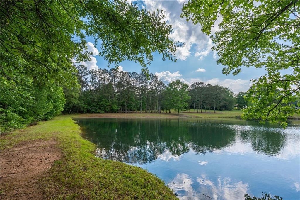 7763714 Property Photo 52