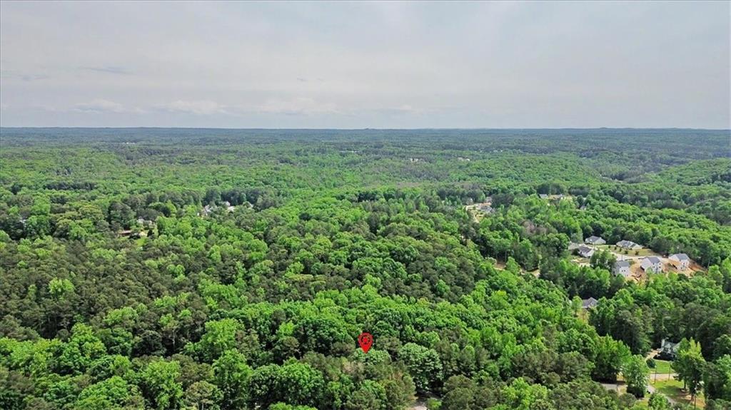251 Paces Lakes Drive Property Photo 38