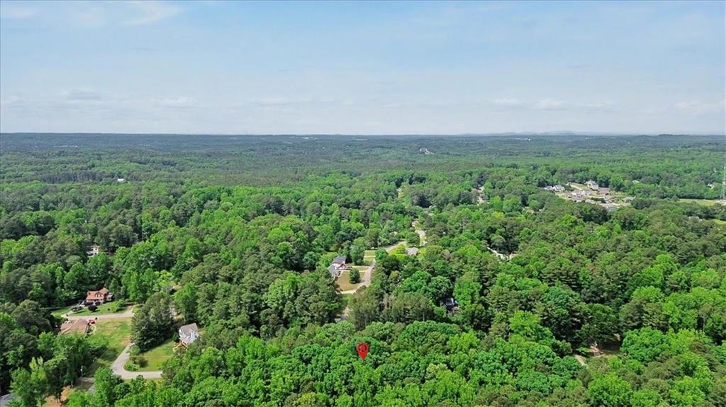 251 Paces Lakes Drive Property Photo 39