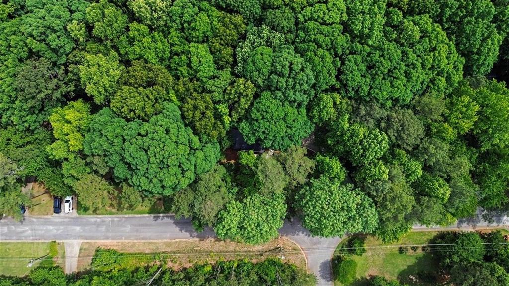 251 Paces Lakes Drive Property Photo 40