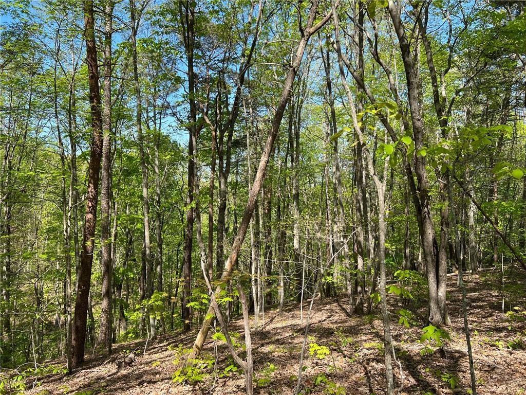 269 Appleberry Mountain Road Property Photo 1