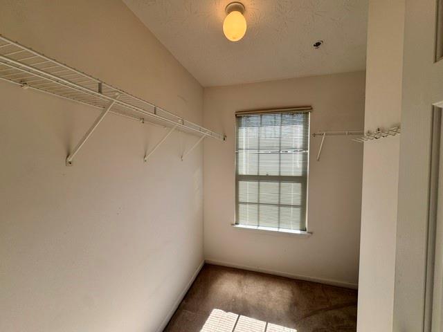 320 Antebellum Place Property Photo 13