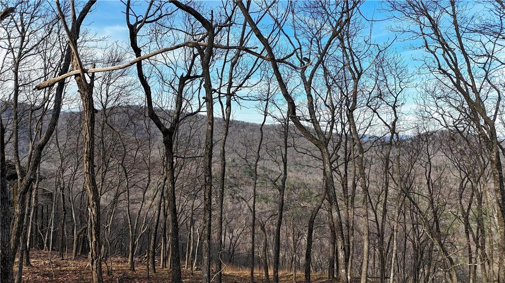 7238 Ridgeview Drive Property Photo 1