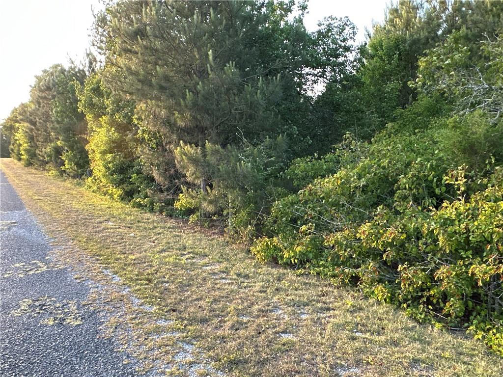 Lot 7 County Road 520 Property Photo 1