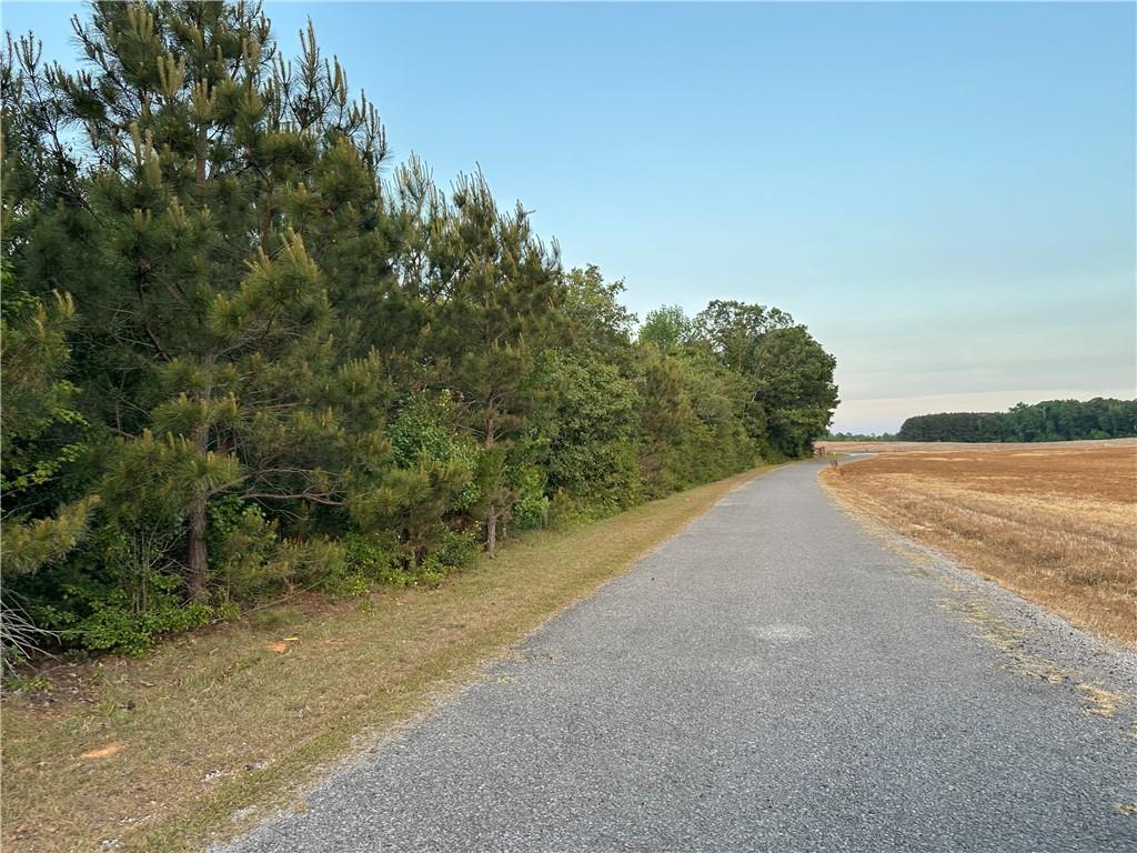 Lot 8 County Road 520 Property Photo 1