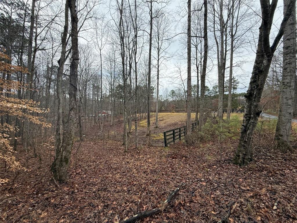 1666 Rock Springs Lane Property Photo 1