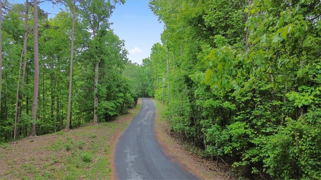 1563 Dover Circle Property Photo 4