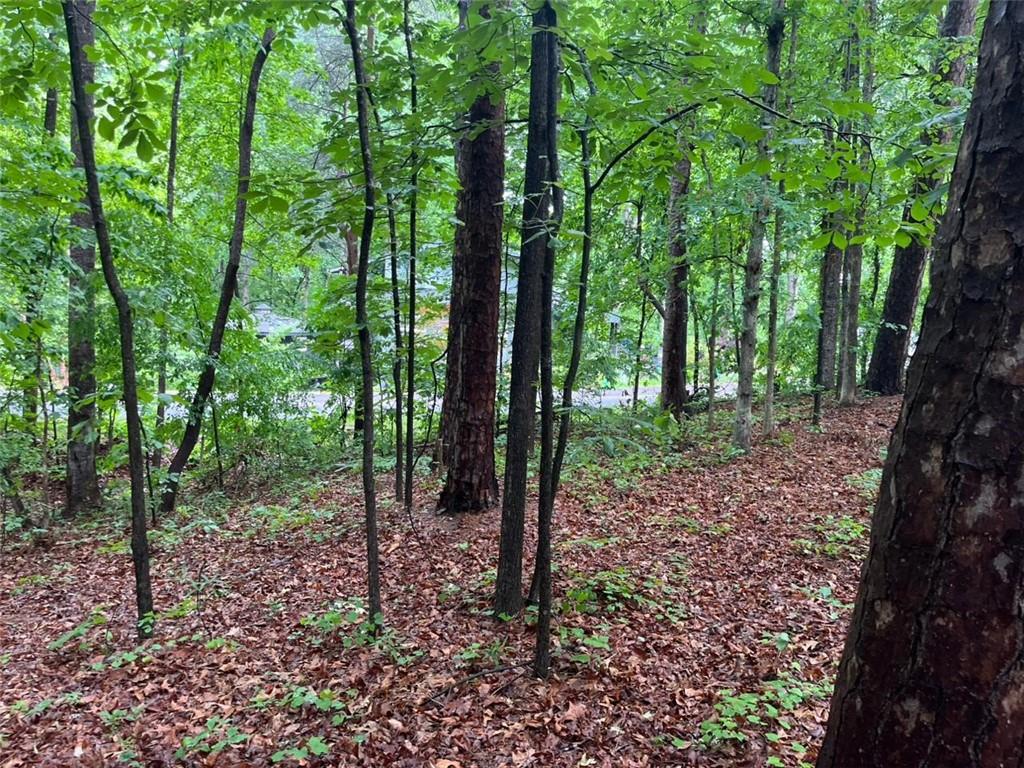 0 Lake Club Drive Property Photo 1