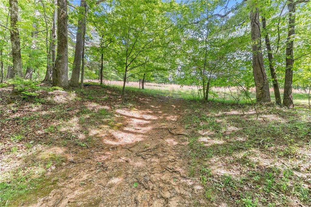 5141 Strickland Road Property Photo 41