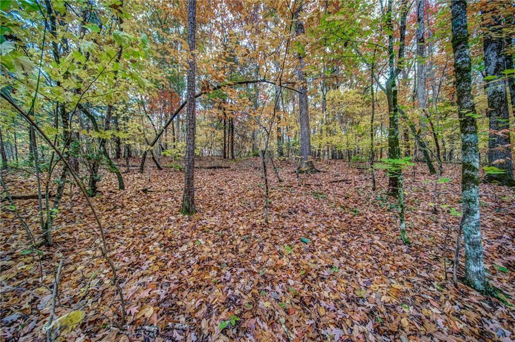 543 Cove Lake Drive Property Photo 1