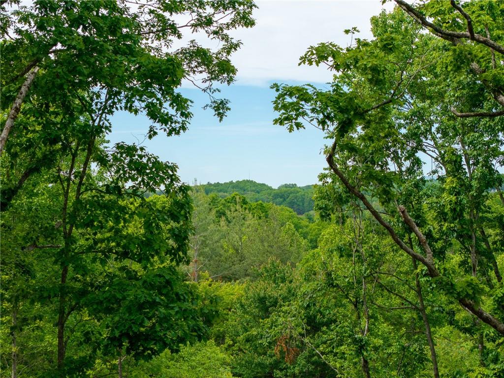 148 Virginia Drive Property Photo 47