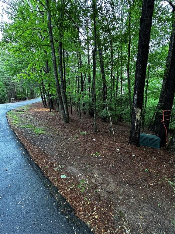 00 Lazy River Lane Property Photo 1