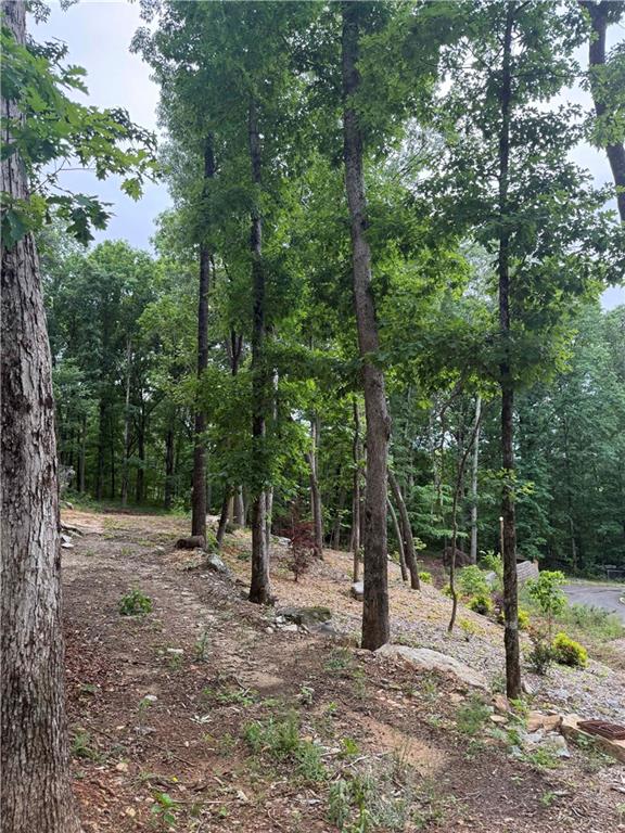 2426 E Maddox Road Property Photo 19