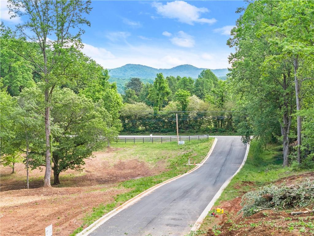 Lot 2 Lowe Lane Property Photo 14