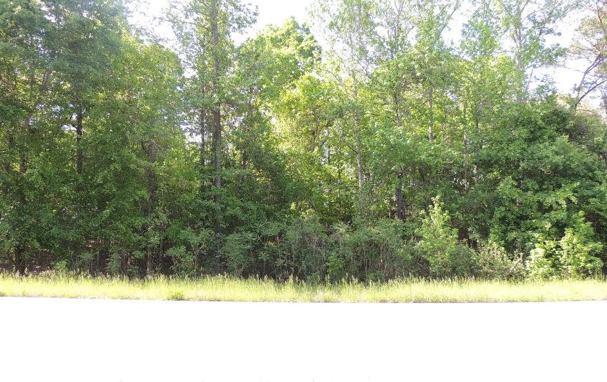 0 Causey Rd Property Photo 1