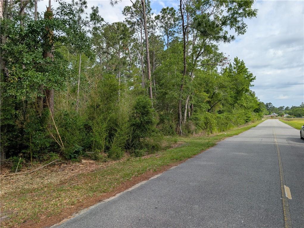 0 Langdale Drive Property Photo 4
