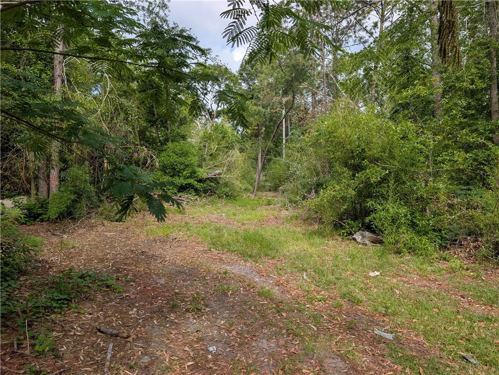 0 Langdale Drive Property Photo 5