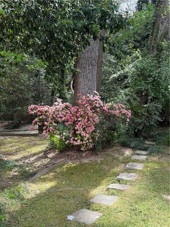 3539 Embry Circle Property Photo 23
