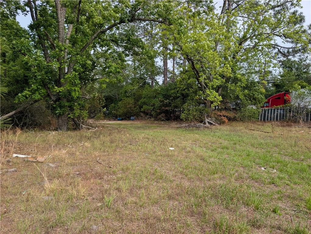 1114 E Marion Avenue Property Photo 23