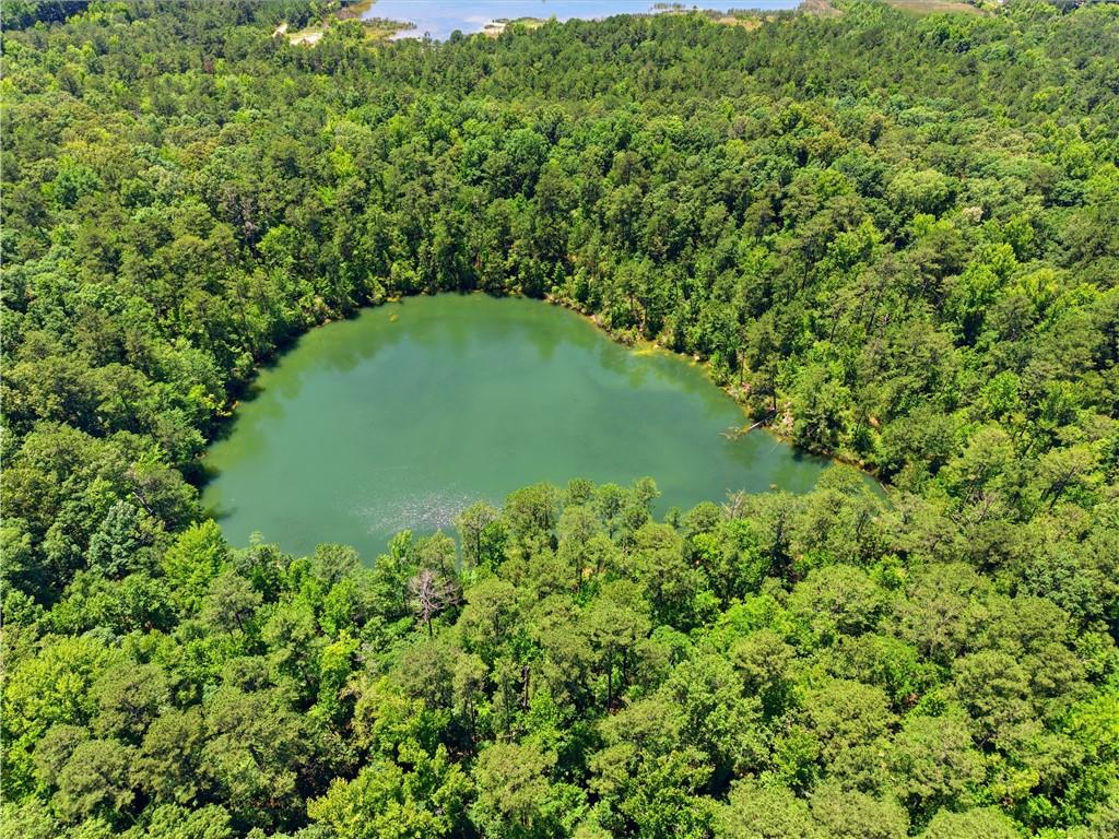 0 Magnolia Property Photo 3