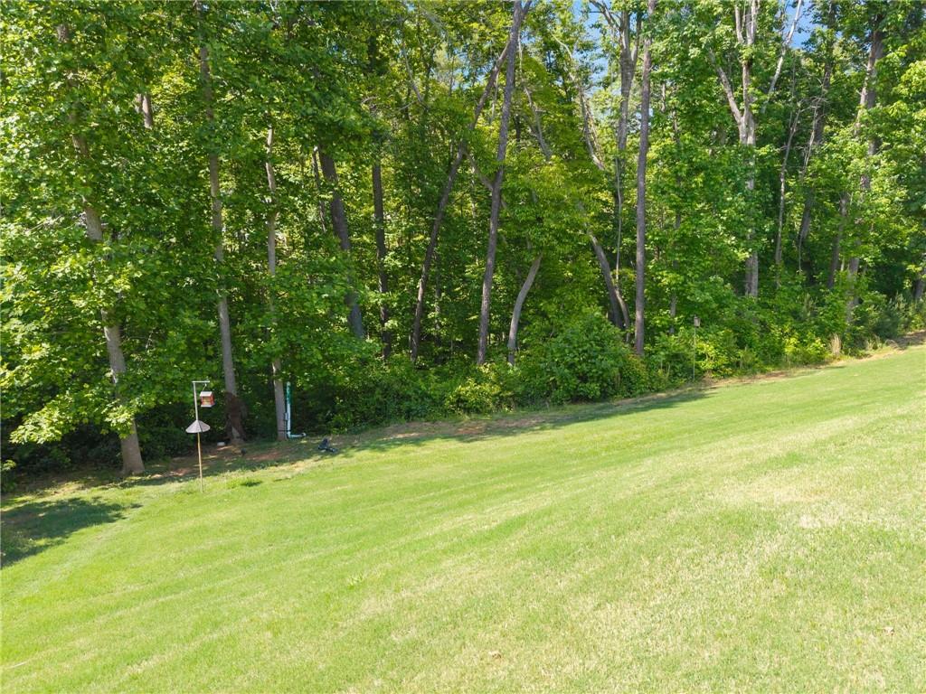 176 Whelchel Valley Drive Property Photo 52