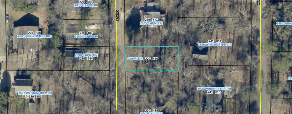 00 Capri Drive Property Photo 1