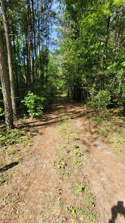 7770843 Property Photo 3