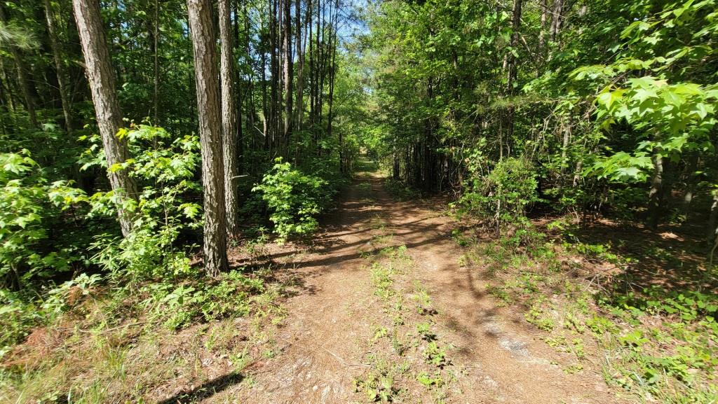 7770843 Property Photo 4