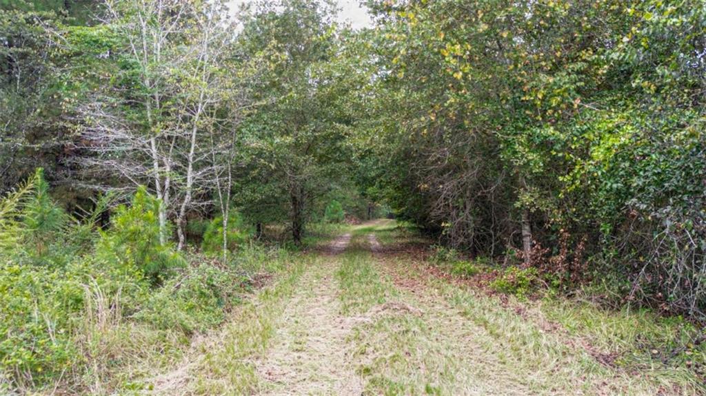 0 Willow Creek Drive Property Photo 2