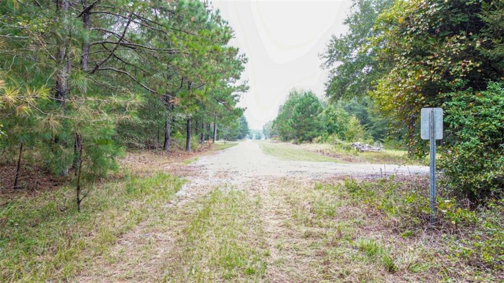 0 Willow Creek Drive Property Photo 5