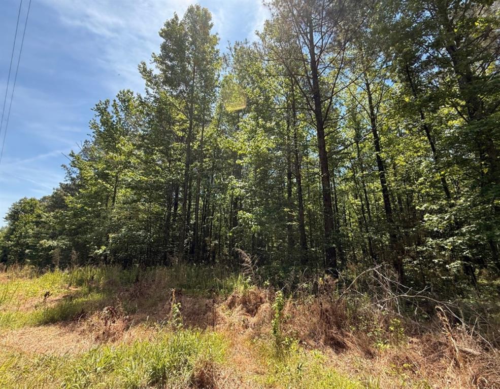 467 N Raburn Road Property Photo 3