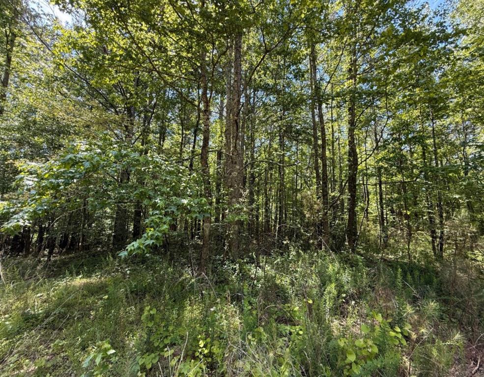467 N Raburn Road Property Photo 5