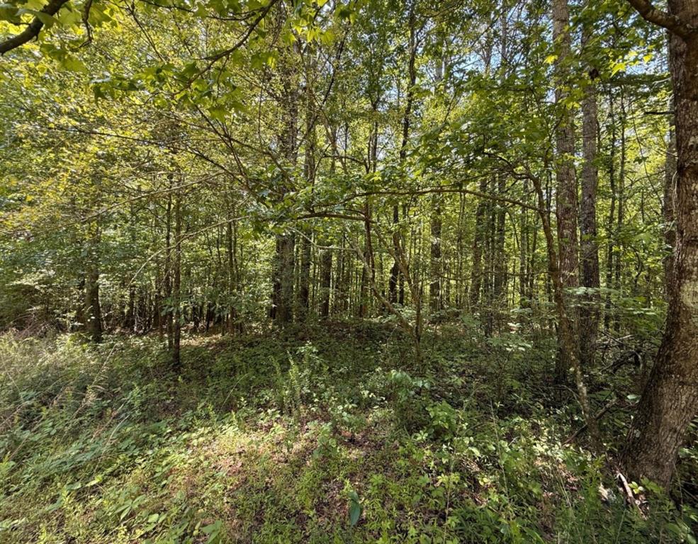 467 N Raburn Road Property Photo 6