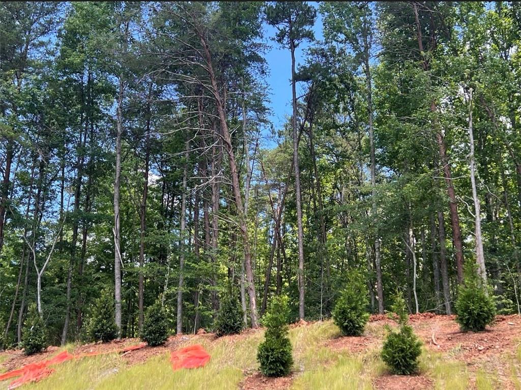 1161 Dahlonega Highway Unit 8 Property Photo 20