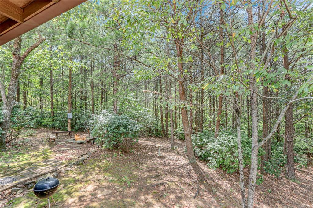 482 Monroe Ridge Road Property Photo 31