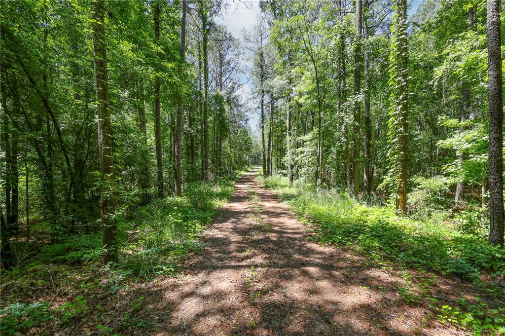 0 Manning Gin Road Property Photo 5