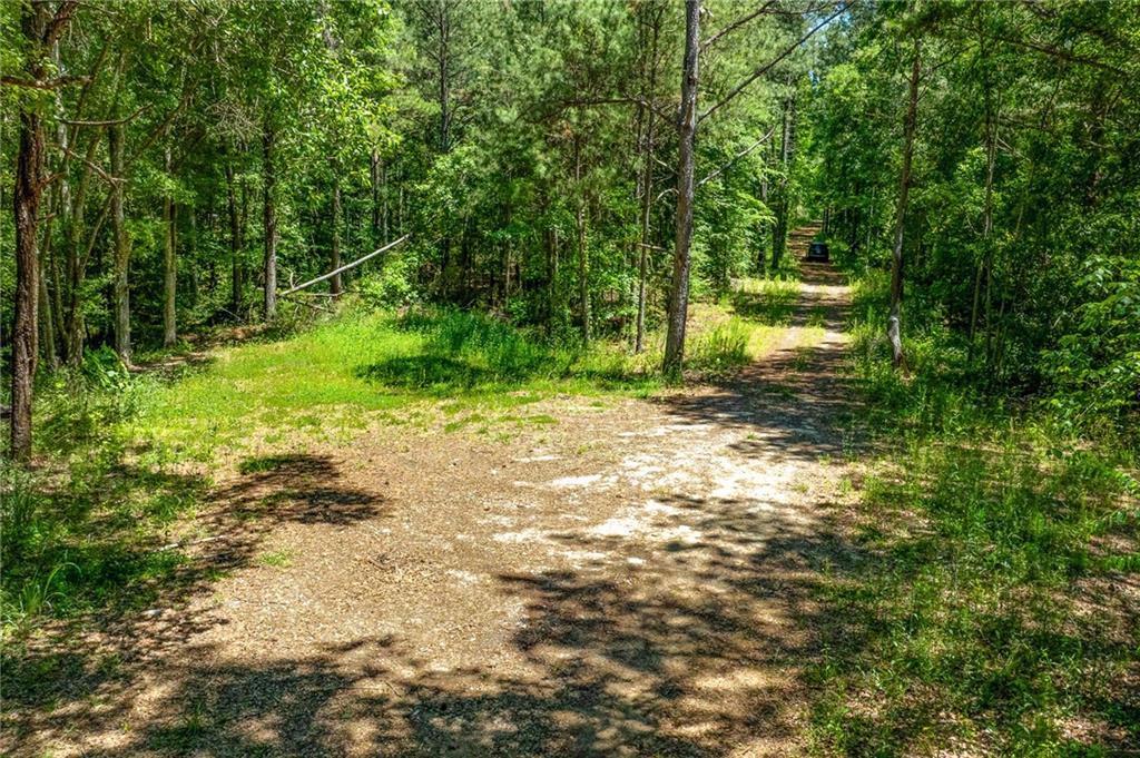 0 Manning Gin Road Property Photo 6