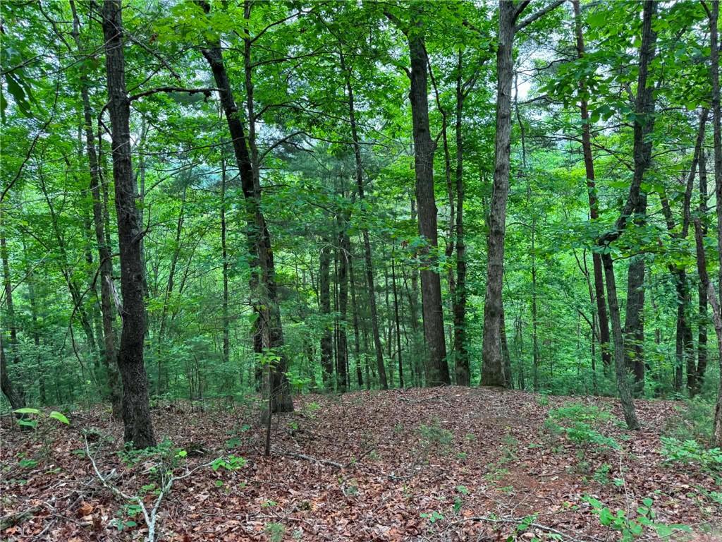 1674A Hunter Drive Property Photo 1