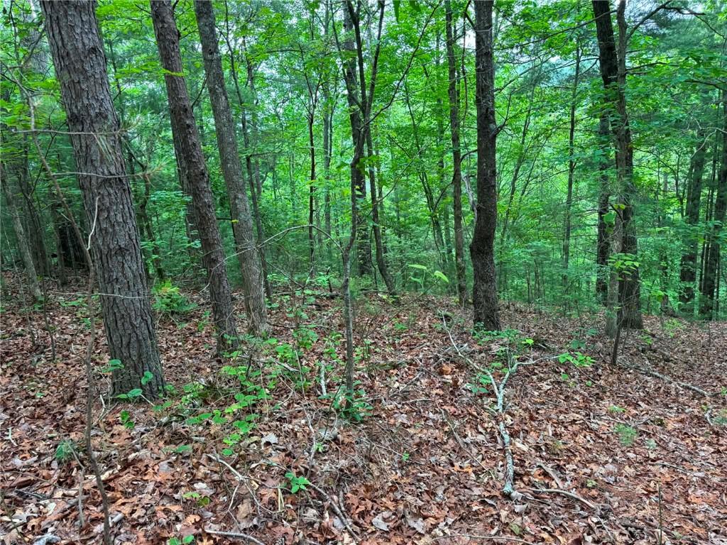 1674a Hunter Drive Property Photo 2