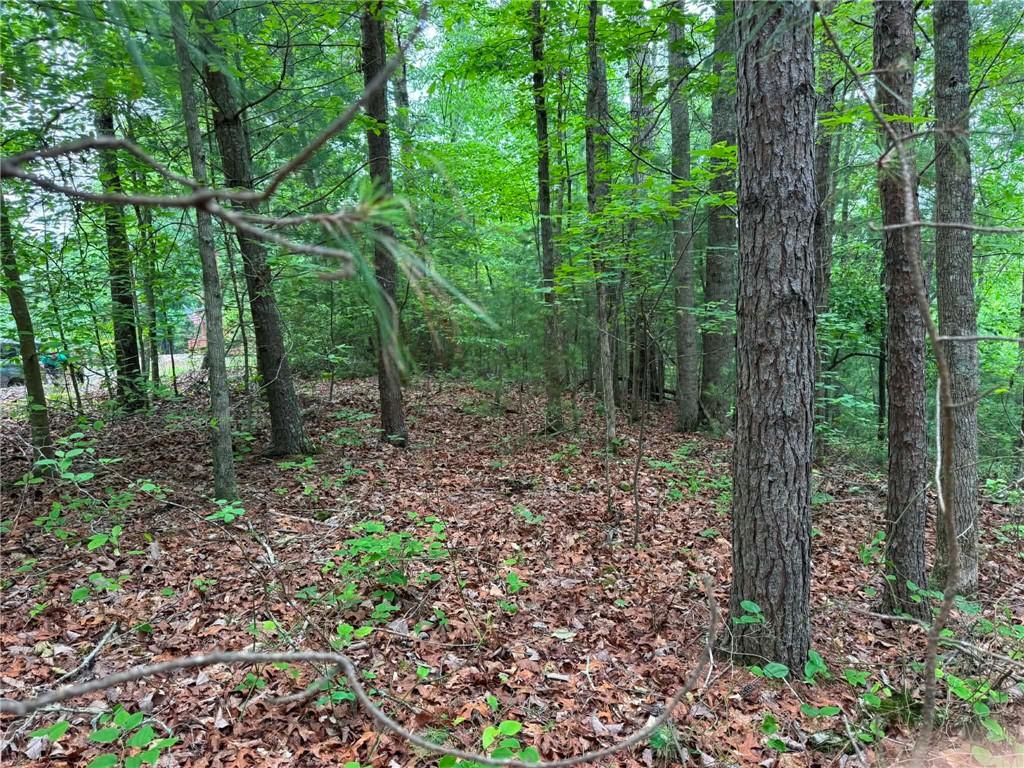 1674a Hunter Drive Property Photo 3