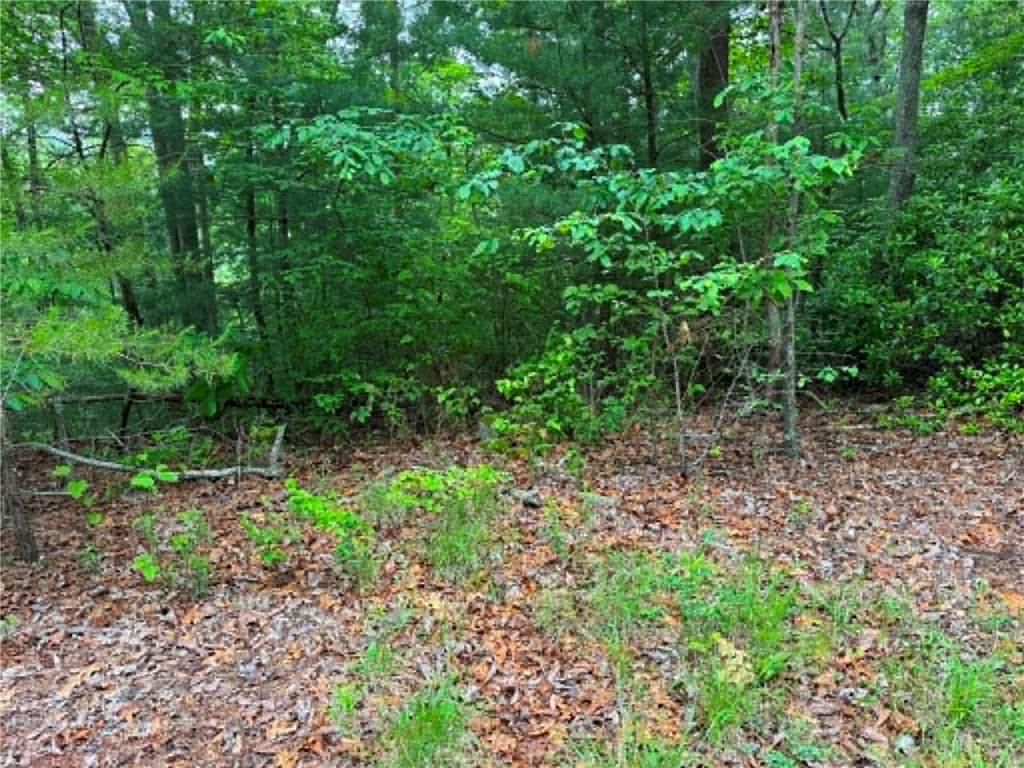 1674a Hunter Drive Property Photo 5