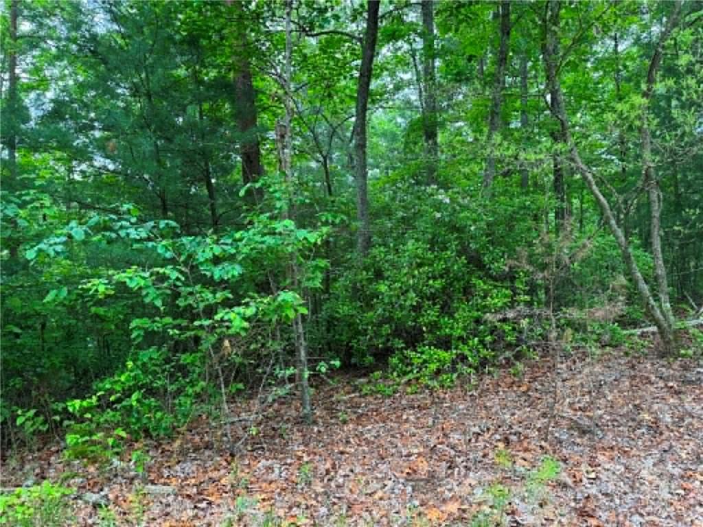 1674a Hunter Drive Property Photo 6