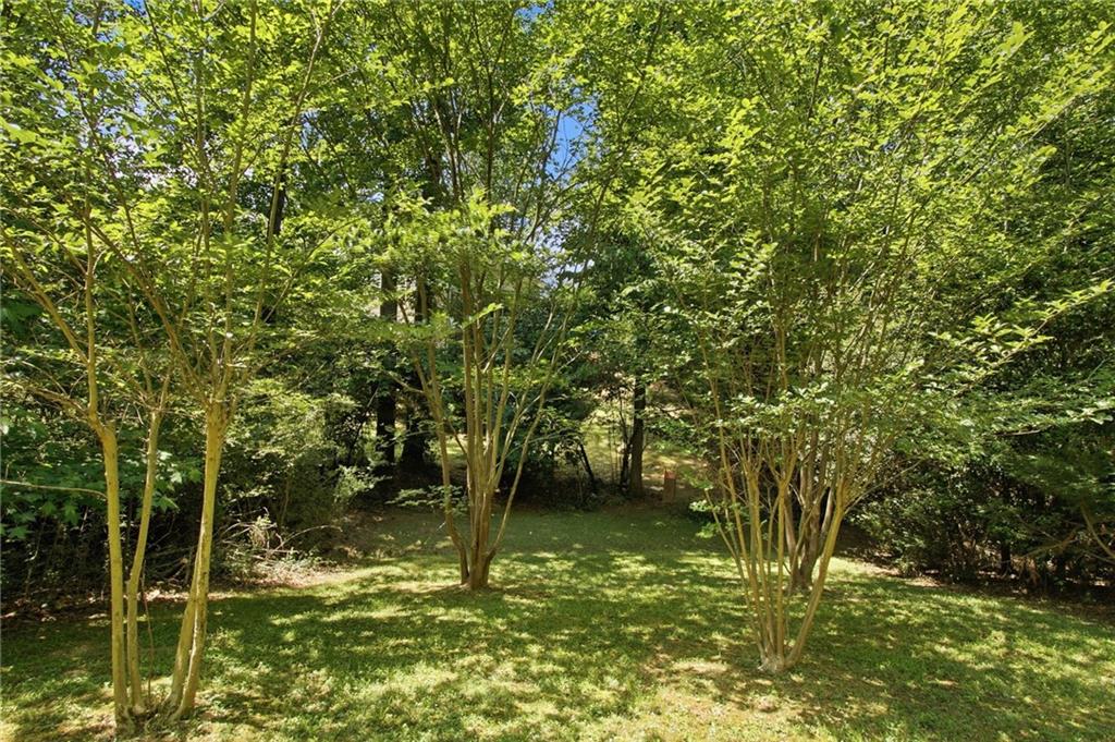2590 Bentbrook Court Property Photo 48