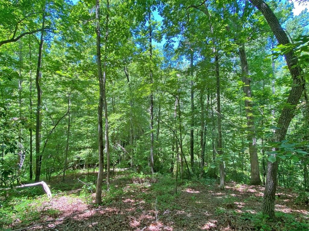 0 Hickory Nut Trail Property Photo 1