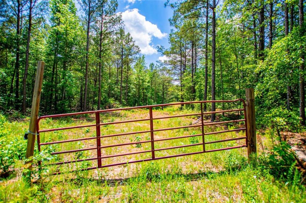 Us Highway 78 Property Photo 3